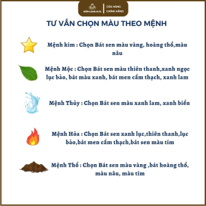 bát sen thả hoa tắm phật